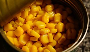 GIS wydał komunikat ws. bakterii w kukurydzy. Jest śmiertelnie groźna