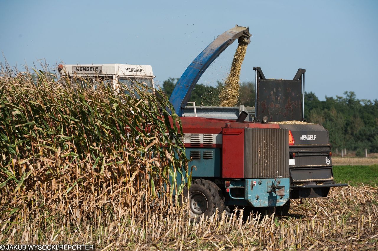 Podlasie: tragedia na polu. Nie żyje dwóch mężczyzn