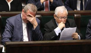 Sondaż poparcia do Parlamentu Europejskiego. Koalicja Europejska wygrywa z PiS