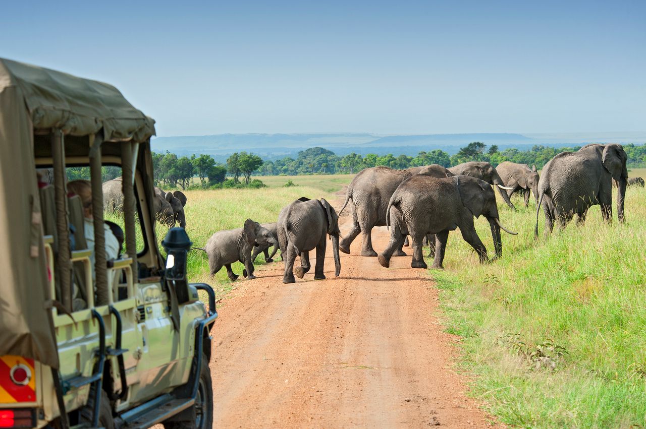 Masai Mara – Afryka w pigułce