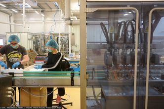 Pakiet pomocowy dla firm. Zapytaj eksperta