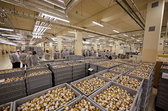 "Money. To się liczy". Przemysł w coraz gorszej kondycji