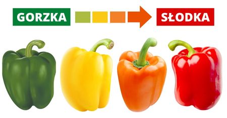 Kolor papryki decyduje nie tylko o jej smaku. Jest jeszcze jedna różnica