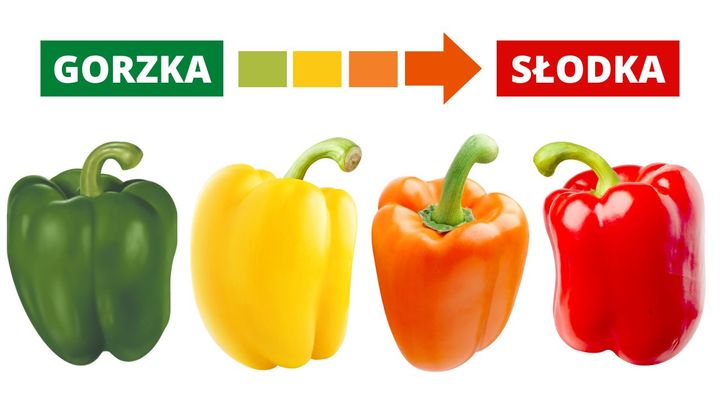 Kolor papryki decyduje nie tylko o jej smaku. Jest jeszcze jedna różnica