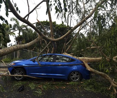 14 ofiar huraganu Irma. Ewakuacja na Florydzie