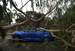 14 ofiar huraganu Irma. Ewakuacja na Florydzie