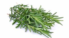 Chcesz poprawić pamięć? Wąchaj rozmaryn!