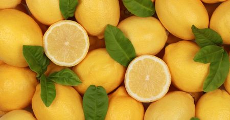 Jak przechowywać cytryny, aby zachowały świeżość i aromat na dłużej?