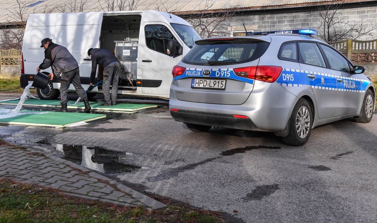 Wirus ptasiej grypy się rozprzestrzenia. Kolejne nowe ogniska