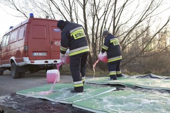 Ptasia grypa. Kolejne ognisko wirusa na Lubelszczyźnie