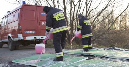 Ptasia grypa. Kolejne ognisko wirusa na Lubelszczyźnie