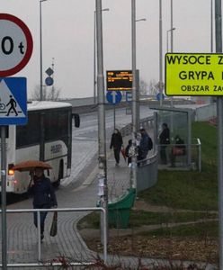 Wrocław: Ognisko ptasiej grypy pod miastem