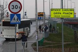 Wrocław: Ognisko ptasiej grypy pod miastem