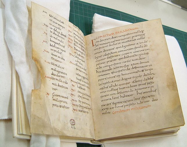 Jeden z dwóch najstarszych zachowanych manuskryptów De re coquinaria autorstwa Apiciusa, powstały w IX wieku w benedyktyńskim opactwie w Fuldzie. 