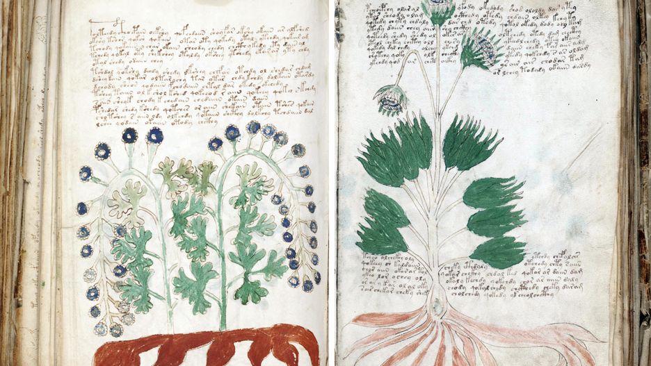 Manuskrypt Michała Wojnicza