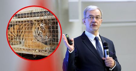 Tygrysy z granicy z Białorusią sprawą KAS. Kwieciński chce specjalnego ośrodka
