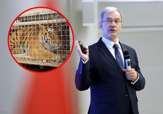 Tygrysy z granicy z Białorusią sprawą KAS. Kwieciński chce specjalnego ośrodka