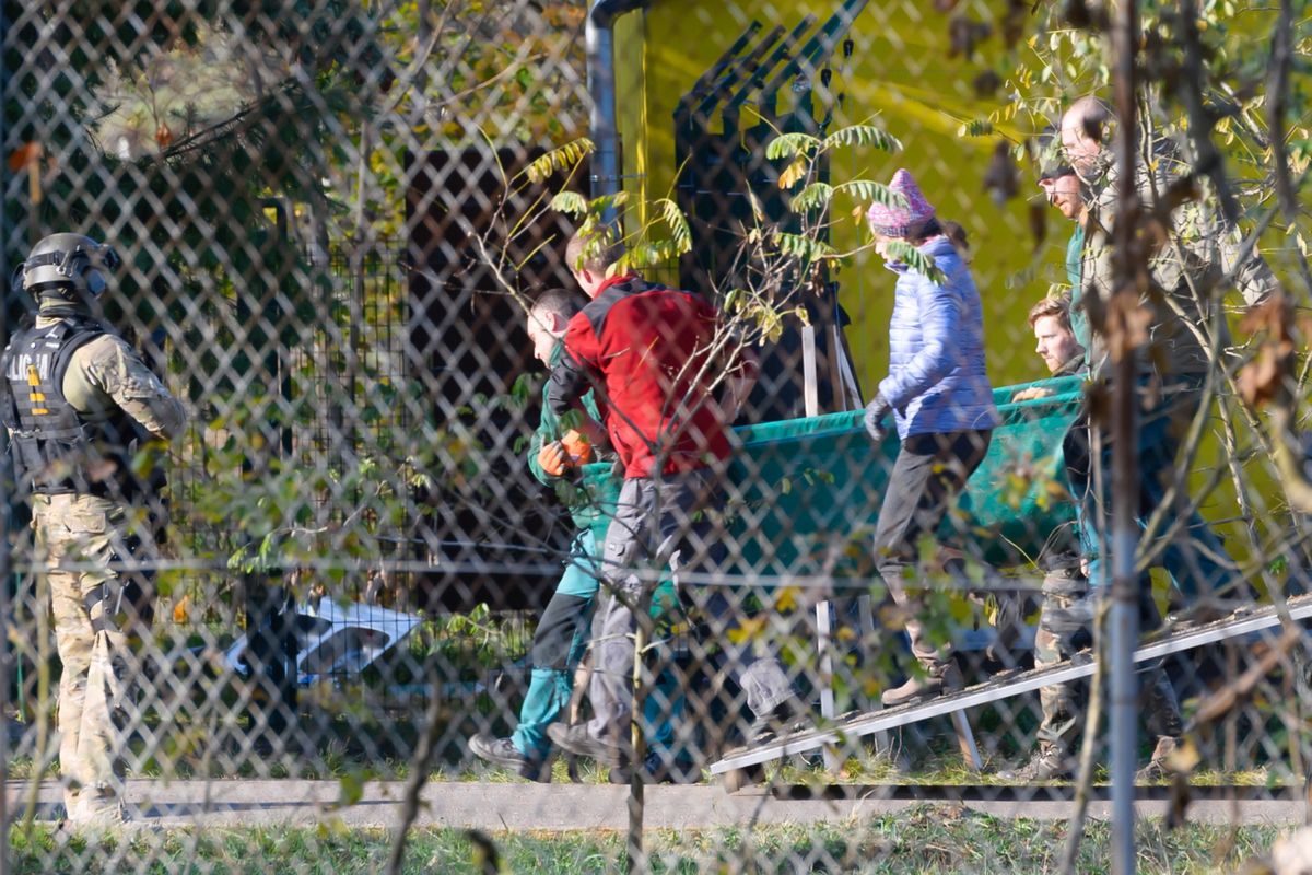 Uwięzione tygrysy. Dobre wieści z poznańskiego zoo