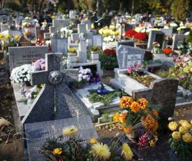 1 listopada Poznań – jak dojechać na cmentarz we Wszystkich Świętych 2018?