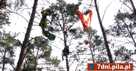 Wypadek na lotnisku. Spadochroniarz na drzewie