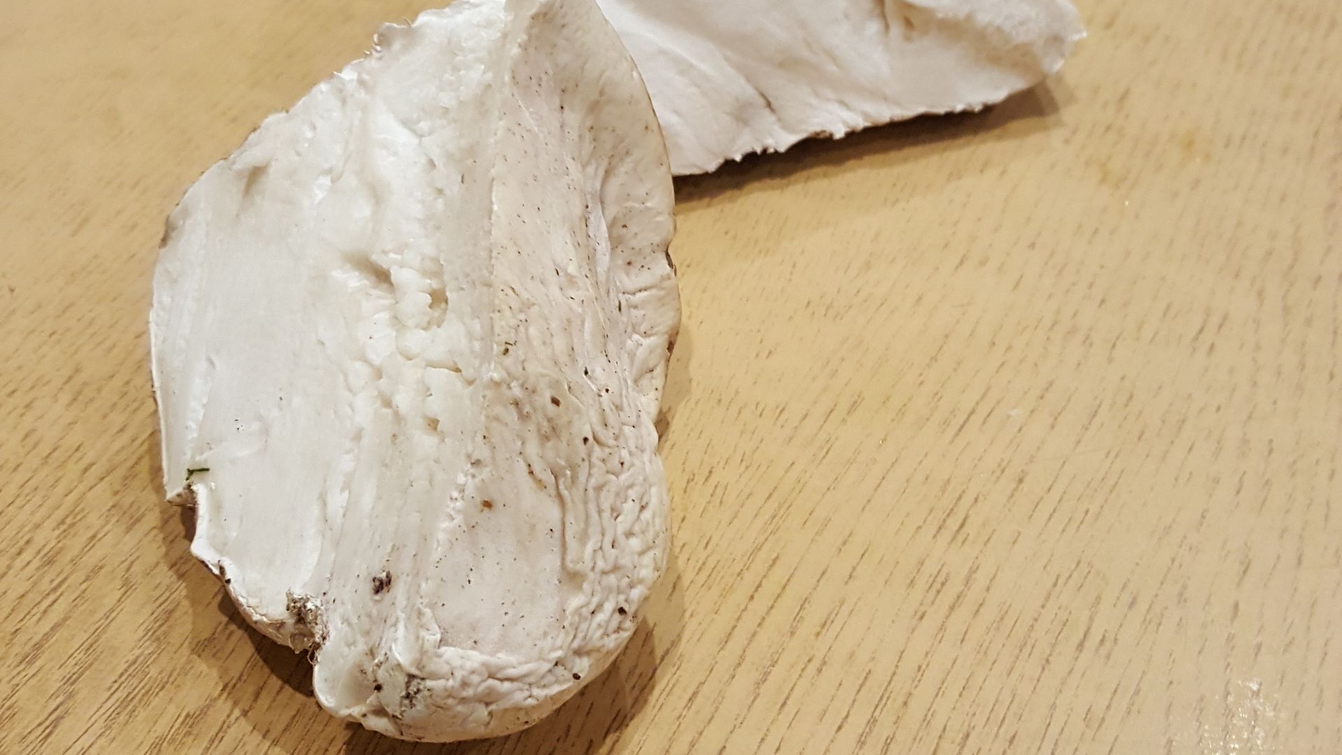 Wysyp grzybów w lasach. Czytelnicy chwalą się zbiorami