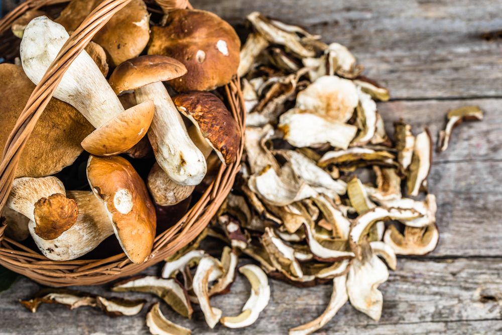Grzybowe eldorado trwa, czyli tajemnice przechowywania darów lasu