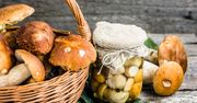 Grzyby z grilla. Smakowite pomysły na dania z rusztu