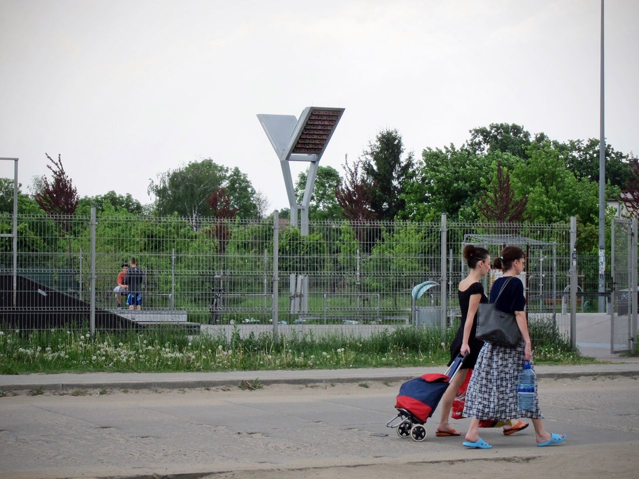Jerzyki znikają z miast. Polacy już kilka lat temu opracowali dla nich miejski "dom"