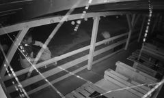 Radny ukradł kwiatki w Nadarzynie. Wójt przeprasza za swojego kandydata