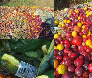 Poszła na spacer, natknęła się na setki kilogramów warzyw i owoców