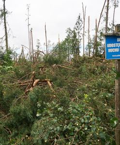 Harcerze o tragedii w Suszku. "To były tylko 2 minuty"