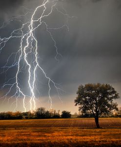 Uwaga na silny wiatr i burze z gradem. Ostrzeżenie meteo dla trzech województw