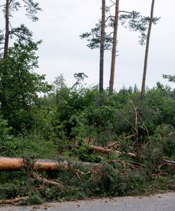Ostrzeżenia przed burzami i gradem. Będzie też wiało