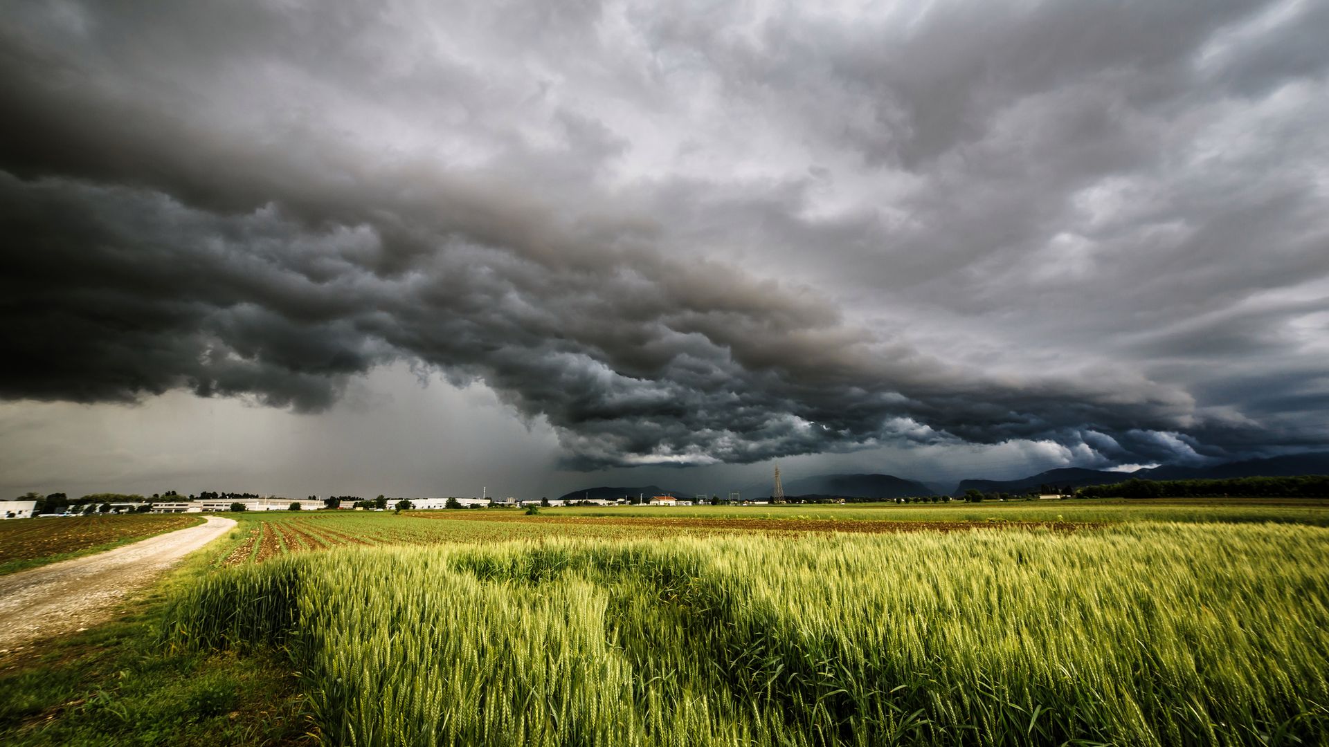 a storm is growin up over the fields of italy