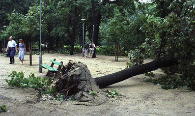 Burza zabiła trzy osoby na Dolnym Śląsku