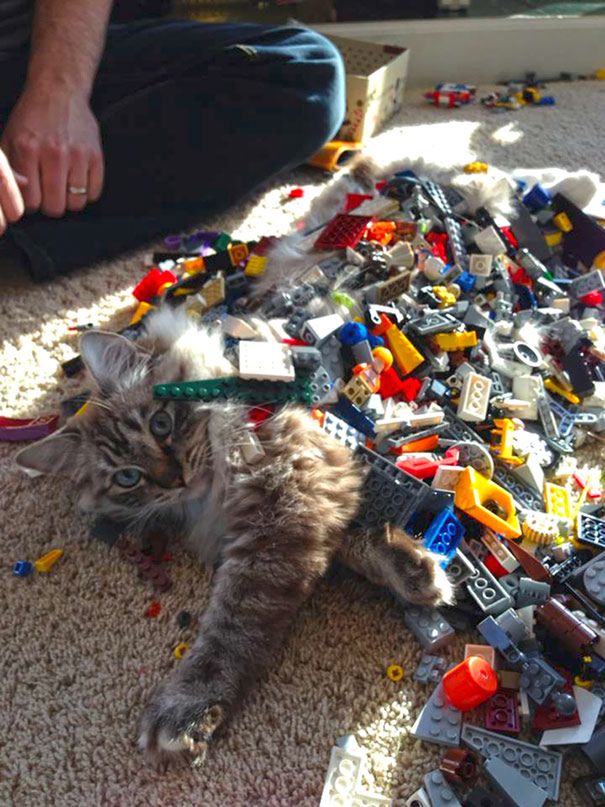 Lego