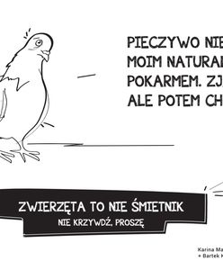 "Miasto Jest Nasze" walczy z bezmyślnym dokarmianiem. "Zwierzęta to nie śmietnik"