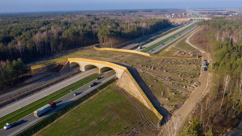 Przykładowe przejście dla zwierząt. 