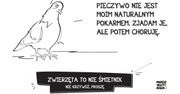 "Miasto Jest Nasze" walczy z bezmyślnym dokarmianiem. "Zwierzęta to nie śmietnik"