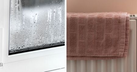 Jakie masz powietrze? Zrób prosty domowy test na wilgotność powietrza