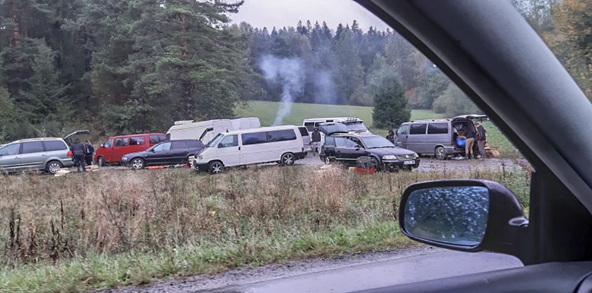 Nowa, ponad 100-osobowa "mafia rumuńskich grzybiarzy". Popłoch we wsi w Małopolsce