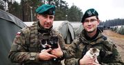 Żołnierze z Bydgoszczy wykazali się wielkim sercem. Uratowali małe kotki
