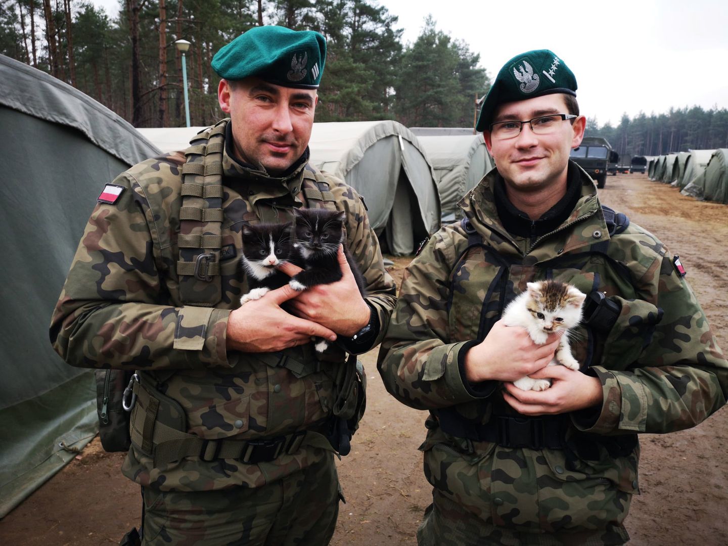 Żołnierze z Bydgoszczy wykazali się wielkim sercem. Uratowali małe kotki