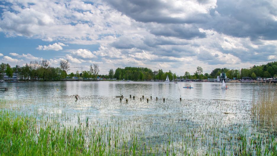 Olsztyn - ścieki w jeziorze Tyrsko. Odkryto bakterie E. coli