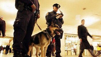 Strażnik z psem na dworcu kolejowym w Nowym Jorku