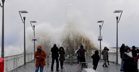 Silny wiatr na północy Polski. Prawie 4 tys. odbiorców bez prądu