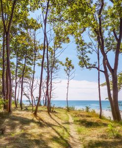 Pogoda nad morzem – chłodna środa i czwartek