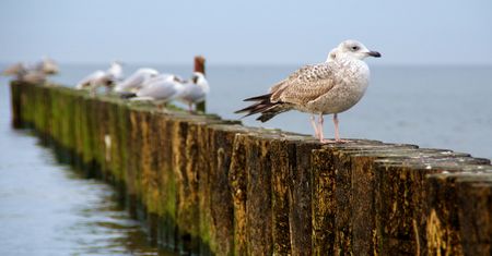 Pogoda na dziś - niedzielę 17 lutego. Sprawdź, jaka pogoda będzie dziś w największych miastach Polski
