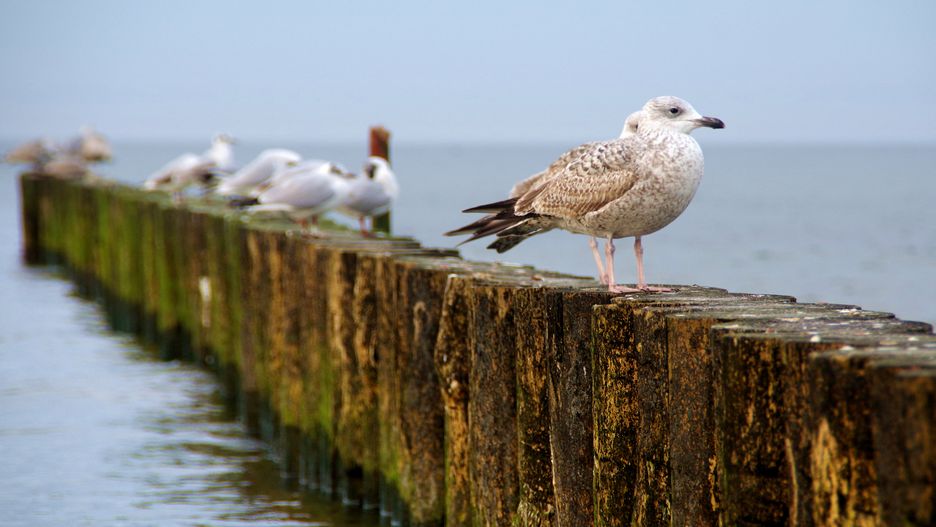 Pogoda na dziś - 17 lutego. Wysokie temperatury i bezchmurne niebo w największych miastach w Polsce.