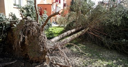 Wichury przeszły nad Polską. Wyjątkowa interwencja w Grodzisku Mazowieckim